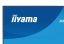 iiyama 23,8