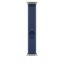 Apple Apple Watch 49mm Loop: Trail Loop S/M Natural Titanium Finish Blue/Bright Blue