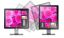 Dell P1917S 19\