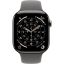 Apple Watch S11 Cellular 46mm Natural Titanium Case with Stone Grey Sport Band S/M