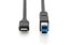 Assmann USB Type-C connection cable, type C to B 1m Black