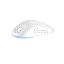 Avax LW01 PAW3327 RGB Gamer Mouse White
