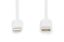 Digitus Data / Charger Cable USB-C - Lightning MFI 1m White