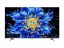 TCL 55