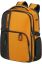 Samsonite Biz2Go Laptop Backpack 15,6