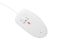 natec Ruff 2 Mouse White