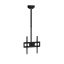 Delight LCD TV Ceiling Mount 32