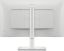 DELL LED IPS Monitor 23,8