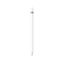 Apple Pencil (1st Generation) (2025)