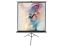 EliteScreen T92UWH Tripod 203x114 cm Format 1:1