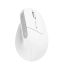 Trust Bayo+Wireless Bluetooth Mouse White