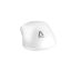 Avax LW02 PRO tri-mode 1k lightweight Gamer Mouse White