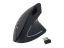 EQuip Ergonomic Wireless Mouse Black