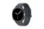 Samsung Galaxy Watch8 LTE 40mm Graphite