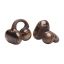 JBL Soundgear Clips TWS Bluetooth Headset Ghost Copper