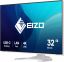Eizo 31,5