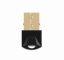 Gembird BTD-MINI6 USB BT v.5.0 dongle Black