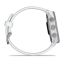 Garmin Forerunner 170 Music Whitestone with Whitestone/Cloud Blue Band