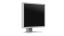 Eizo 21,3