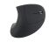 EQuip Ergonomic Wireless Mouse Black