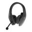 Jabra BlueParrott S650-XT Headset Black