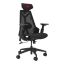 Asus ROG Destrier Core Gaming Chair Black
