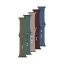 FIXED Silicone Strap Set for Apple Watch 38/40/41 mm set of 5 pieces variation 1 of different colors