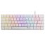 White Shark Nagamaki RGB Gaming keyboard Black US