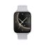 Carneo Artemis HR+ Silver