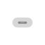 Apple Lightning to USB Adapter White
