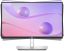 DELL LCD Monitor 24