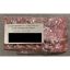 KINGSTON SSD M.2 2280 PCIe 4.0 NVMe 1000GB NV3 BULK