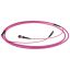 ACT Multimode 50/125 OM4(OM3) polarity B fiber trunk cable with MTP/MPO female connectors 40m Pink