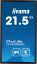 iiyama 21,5