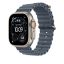 Apple Watch 49mm Band: Ocean Band Natural Titanium Finish Anchor Blue