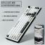 The G-Lab Keyz Elite 400 WG Keyboard White/Grey US
