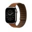 Apple Watch 46mm Caramel Magnetic Link M/L