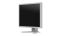 Eizo 21,3