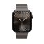 Apple Watch 46mm Link Bracelet Slate
