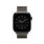Apple Watch 42mm Loop: Milanese Loop Slate