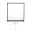 EliteScreen T119NWS1 Tripod 213x213 cm Format 1:1