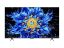 TCL 65
