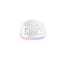 Avax LW01 PAW3327 RGB Gamer Mouse White