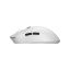 White Shark Maximus Gaming Wireless Bluetooth Mouse White