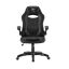 White Shark NXY Gaming Chair Black