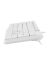 natec Nautilus Keyboard White US