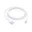 Apple Lightning to USB Cable (1 m)