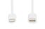 Digitus Data / Charger Cable USB-C - Lightning MFI 2m White
