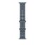 Apple Watch 49mm Band: Ocean Band Natural Titanium Finish Anchor Blue
