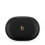 Apple Beats Studio Buds + True Wireless Noise Cancelling Bluetooth Headset Black/Gold